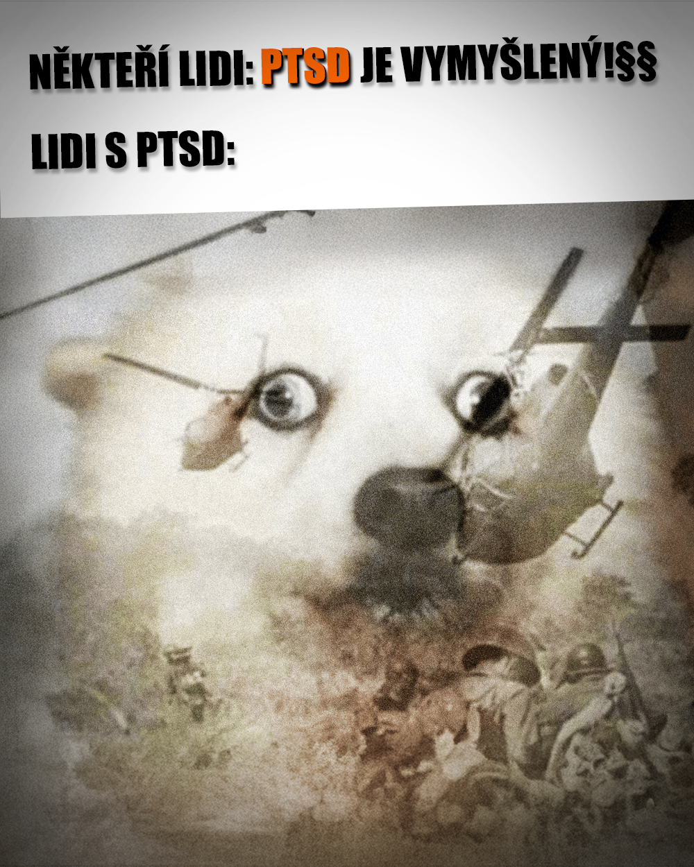 PTSD je dar, který nepřestává dávat. Zdroj: Public Domain
