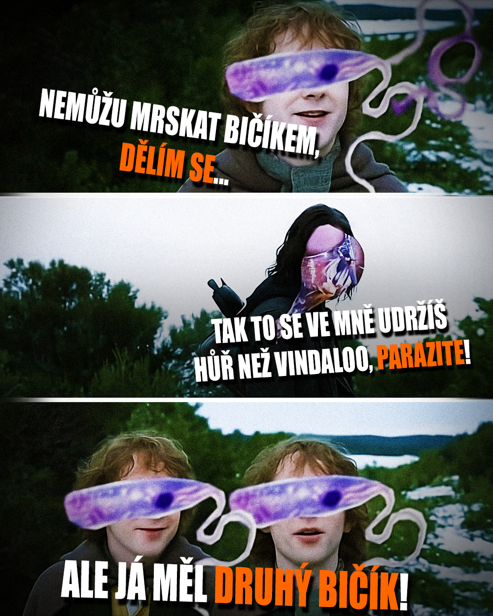 Zdroj: Embracer, WB, Kostygov et al., BMC Biology, 2020, vlastní