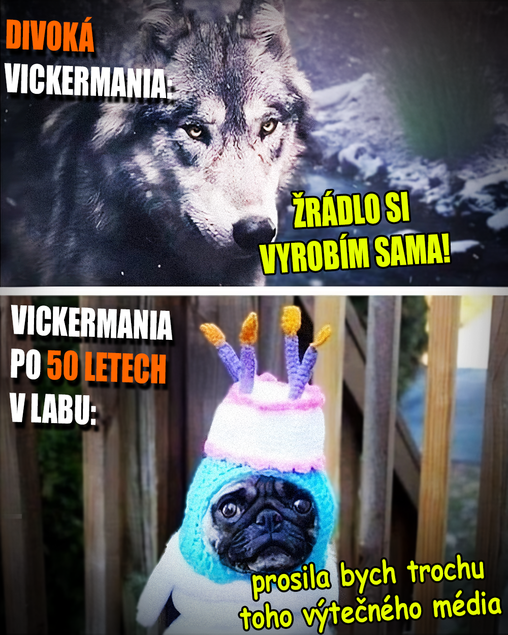 Zdroj: Solveg, Pinterest, 2020, vlastní
