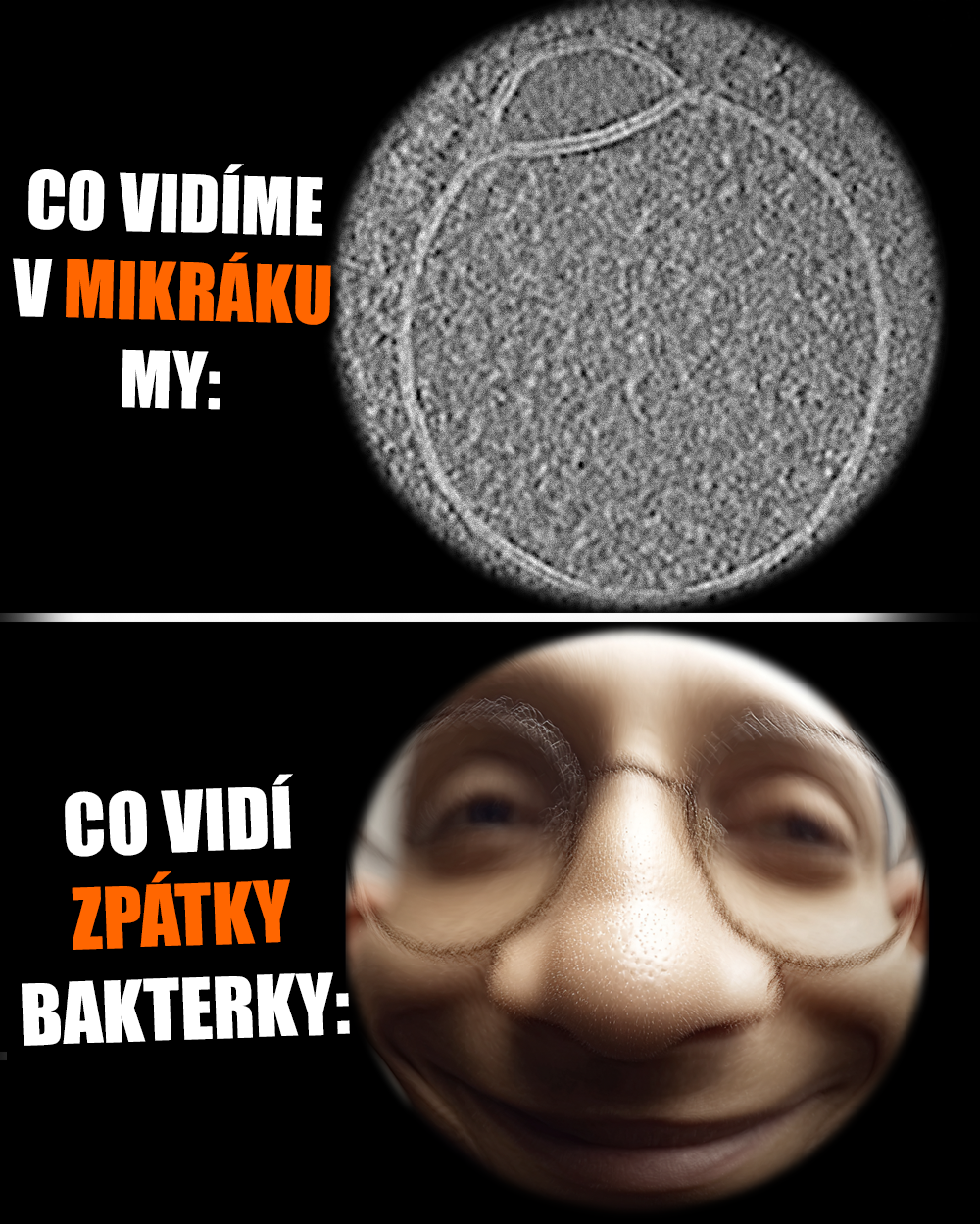 Buňky zase o fous detailněji! Zdroj: Tavakoli et al. 2025, vlastní