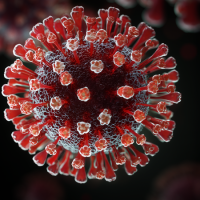 Herpes virus, neasik. Zdroj: MJ/vlastní