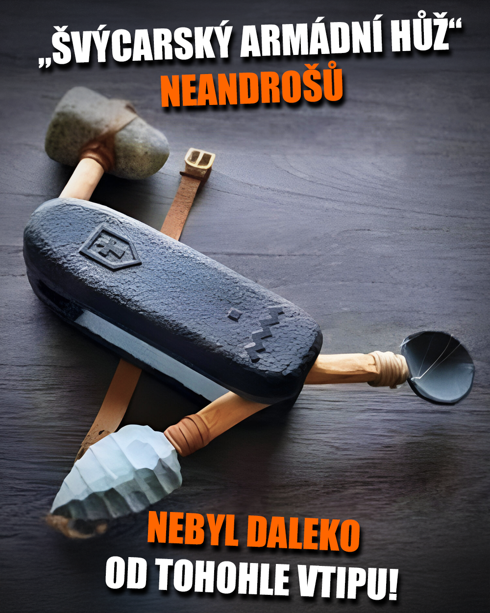 Švýcarská armádní kost v kostce! Zdroj: Public Domain, vlastní