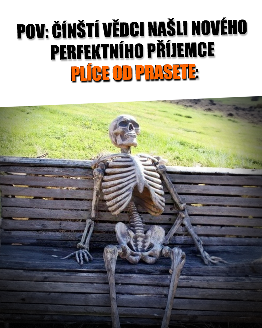 S xenotransplantáty to bude ještě na dlouhé lokte. Zdroj: Public Domain, vlastní