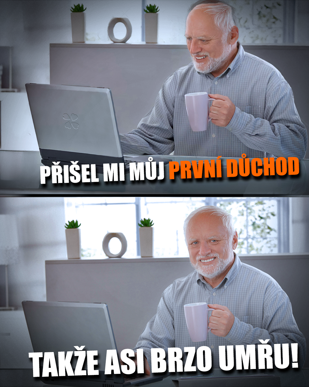 Důchod má své světlé i méně světlé stránky... Zdroj: Harold Hide the Pain, vlastní