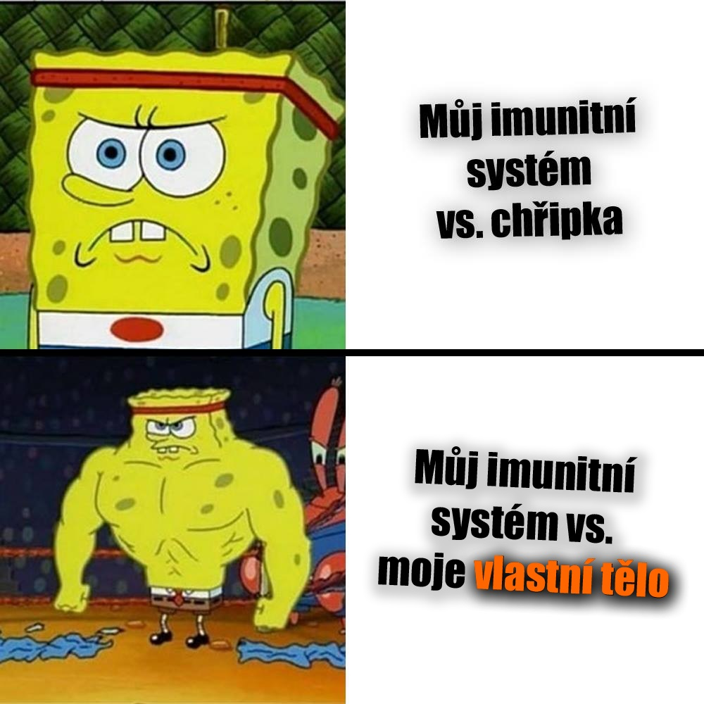 Imunita má i své stinné stránky. Zdroj: Nickelodeon, vlastní