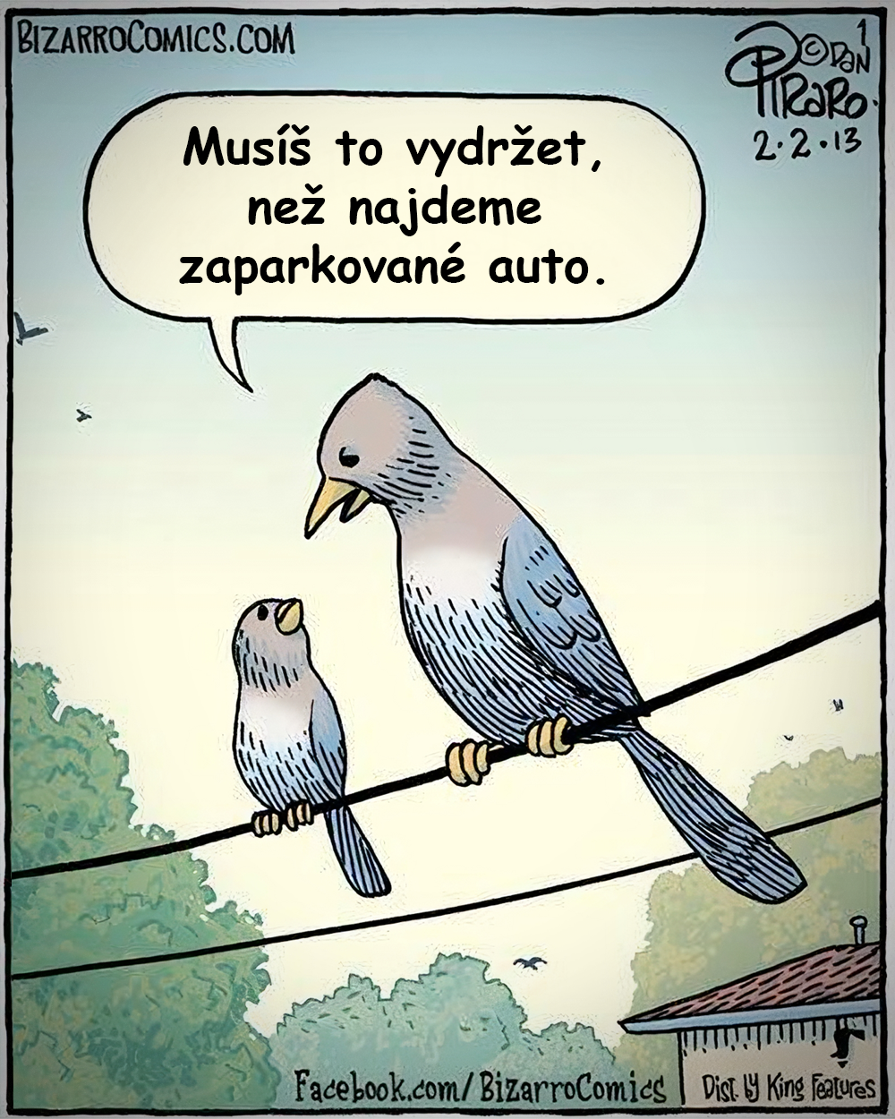 S ptáky je zábava! Zdroj: Bizzaro Comics