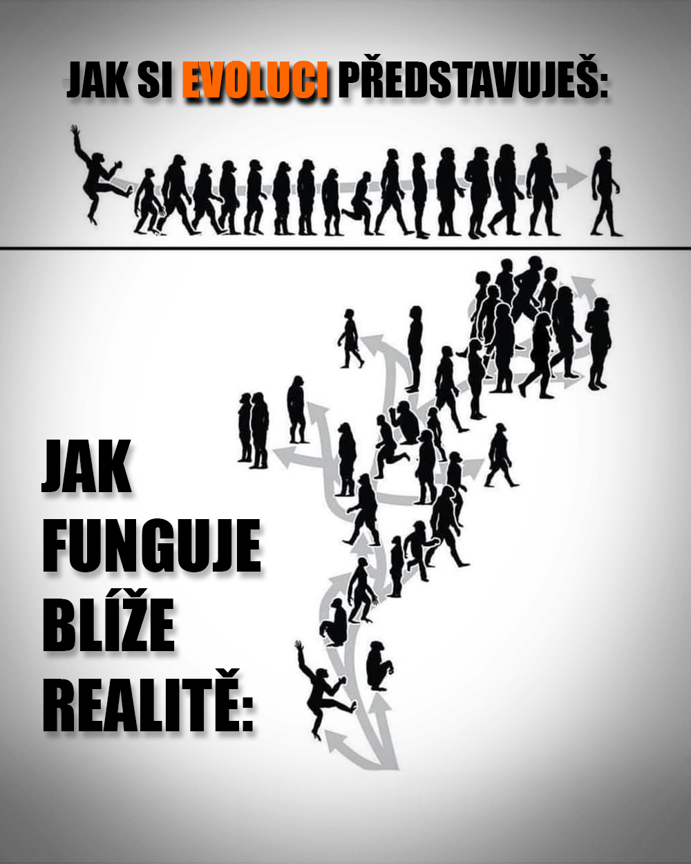 Lidská evoluce je složitá jako kabelová sluchátka zapomenutá v kapse! Zdroj: Public Domain