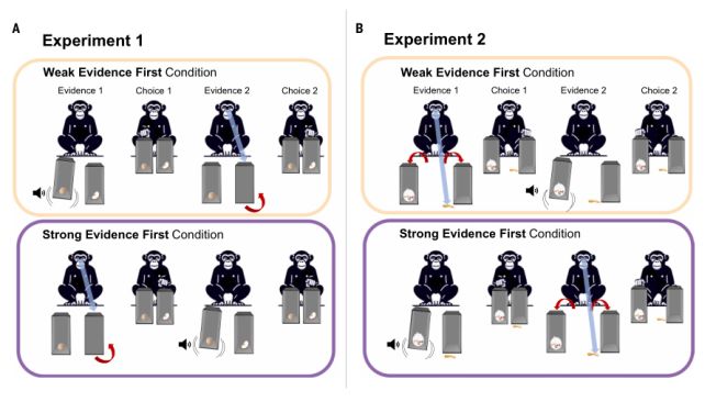 Schéma prvních dvou experimentů. Zdroj: Schleihauf et al., Science, 2025
