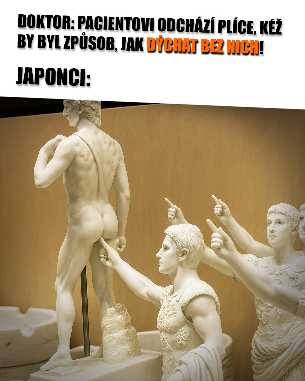 Konečník může být cesta! Zdroj: Public Domain