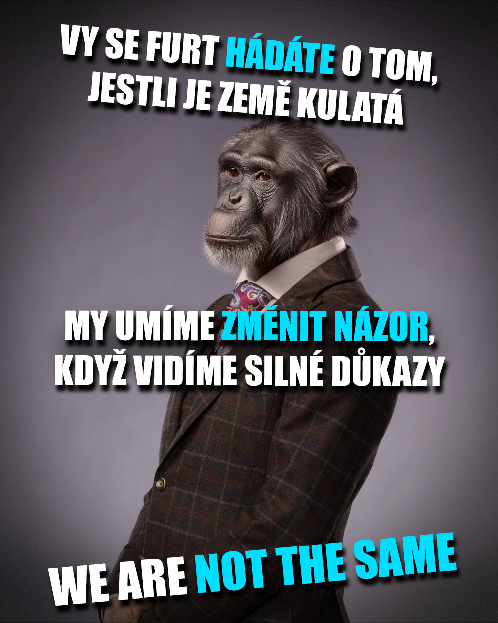 Šimpanzi nejsou jako my! Zdroj: NBC, Adobe/vlastní