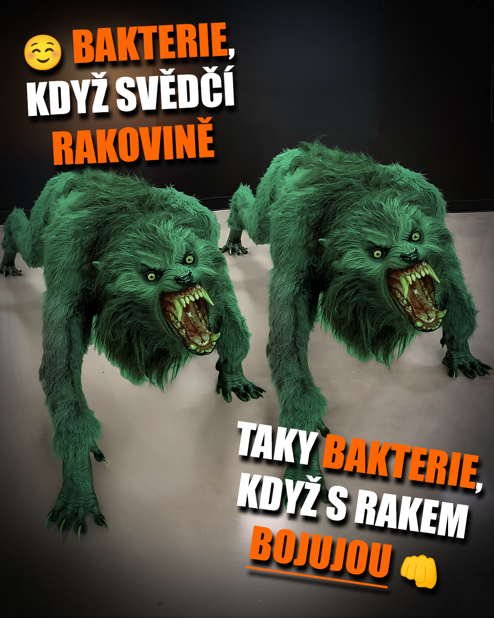Bakterie mohou být dobrý sluha, ale špatný pes! Zdroj: Joe Rogan, vlastní/Adobe