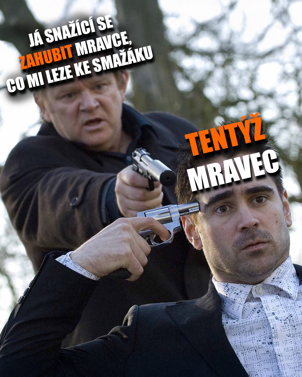 Mravenci to nemají snadné! Zdroj: Focus, vlastní