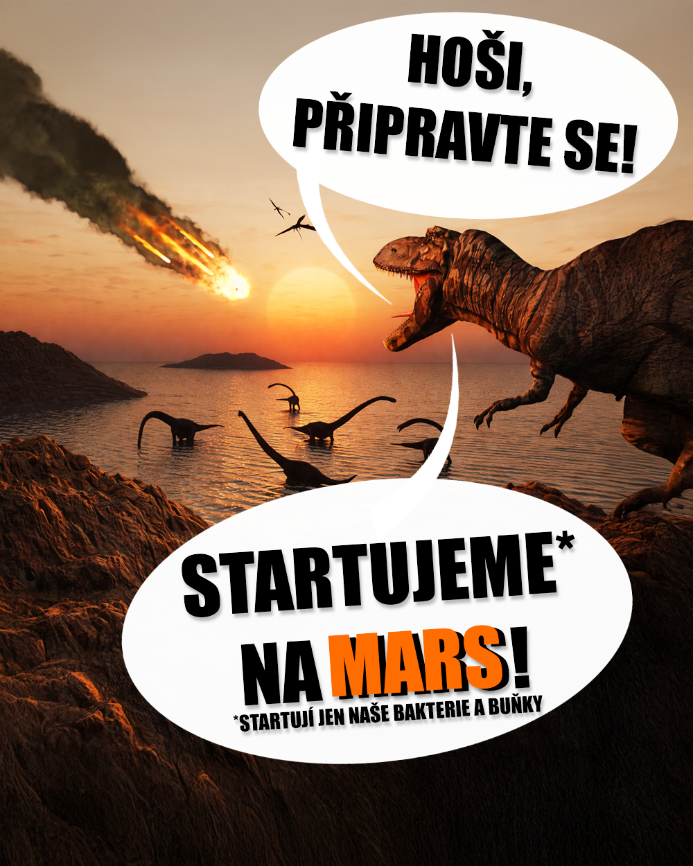 Panspermie je takový kosmický program pro chudé & trpělivé! Zdroj: Public Domain, vlastní