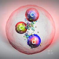Ecce Ξcc⁺ Zdroj: CERN