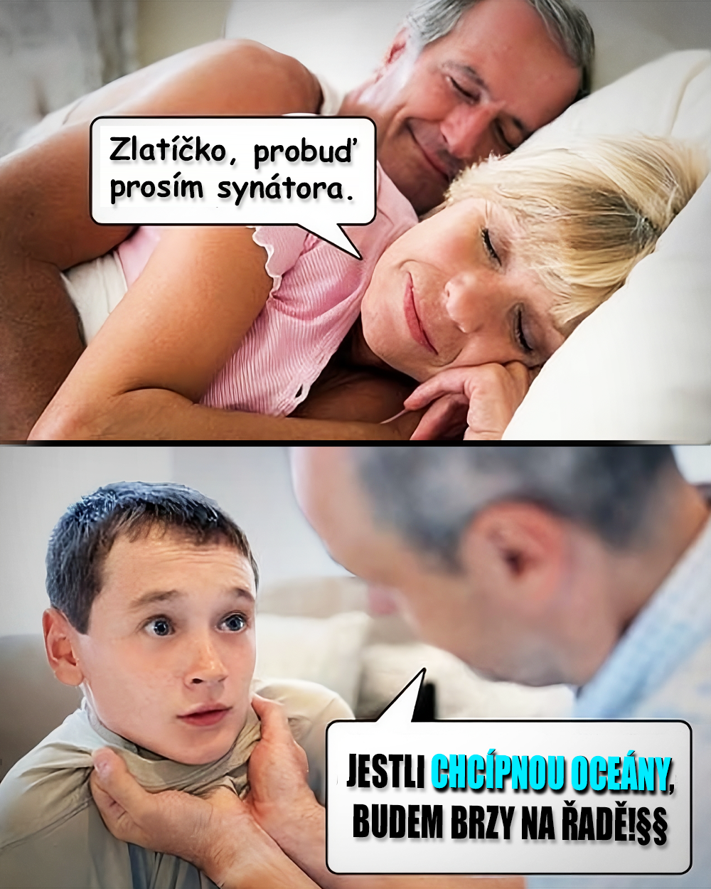 Fytoplankton, plankton, oceány, fotosyntéza