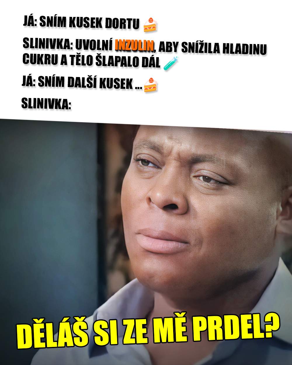 Inzulin, slinivka, diabetes. Zdroj: SABC 1, vlastní