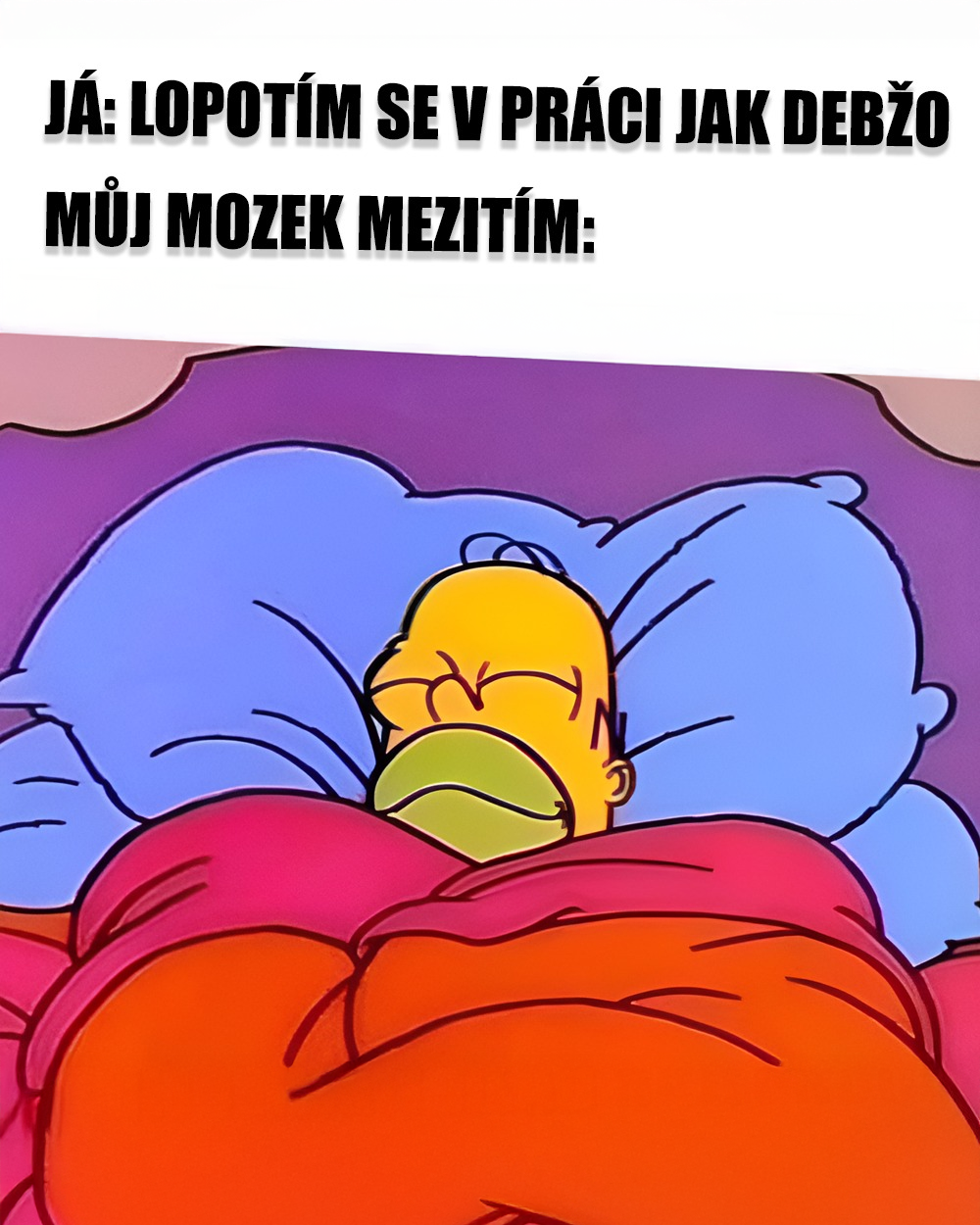 Spánek, lokální spánek, mozek, ADHD. Zdroj: Fox