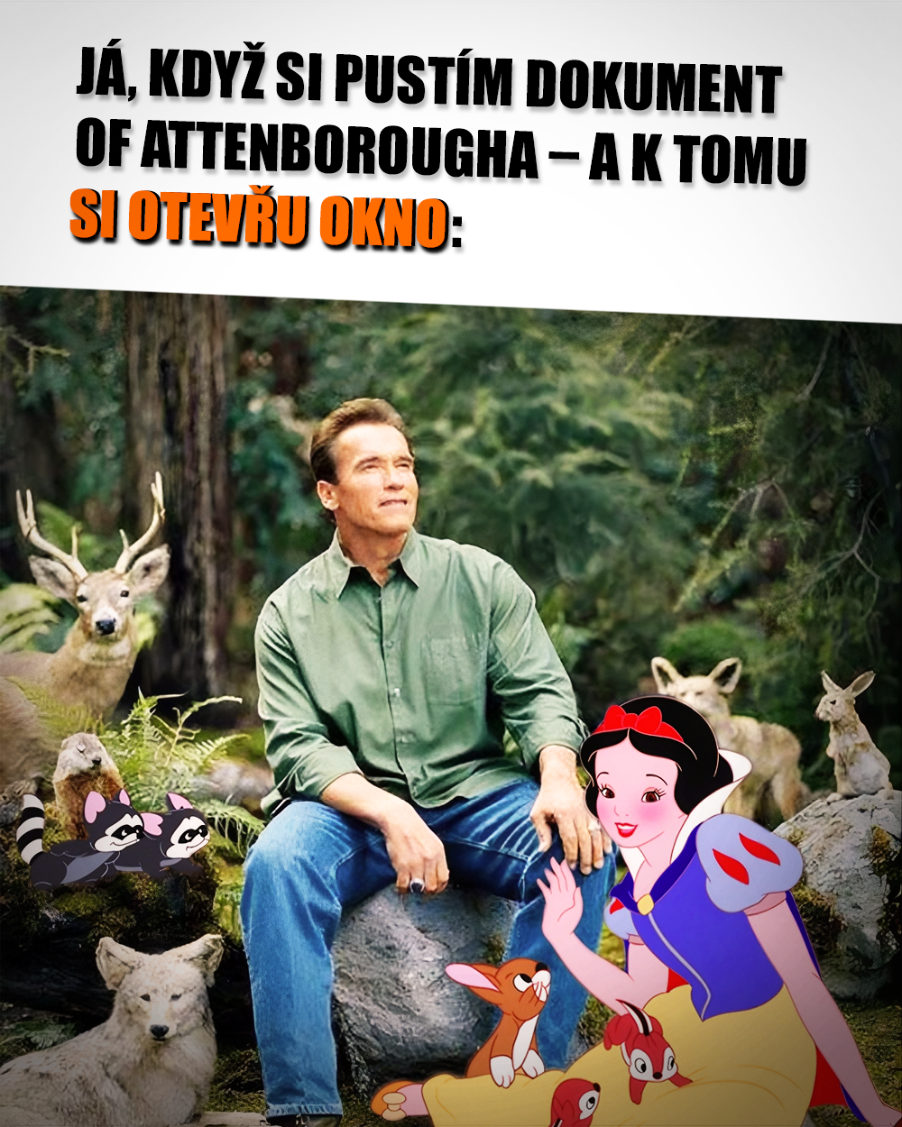 Ach, příroda! Zdroj: IL Magazine, Disney, vlastní