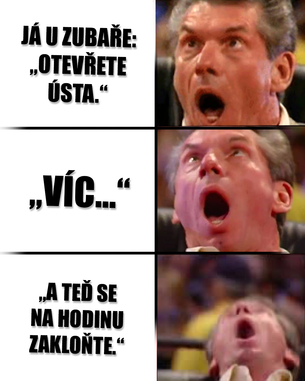 Zubařina je pro otrlé pacoše i doktory! Zdroj: WWE, vlastní