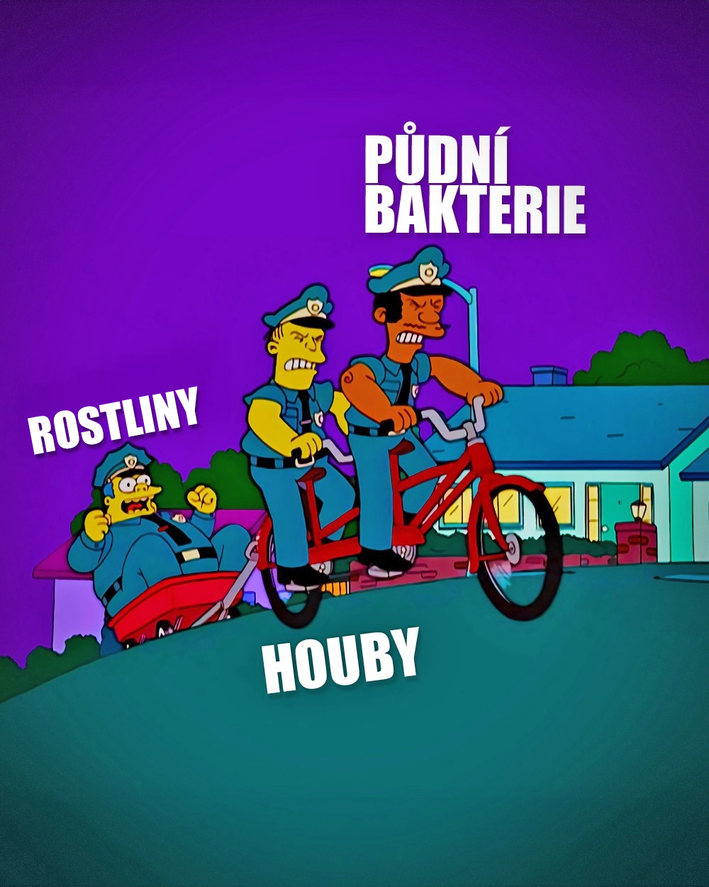 Houby to opět celé odedřou! Zdroj: FOX, vlastní