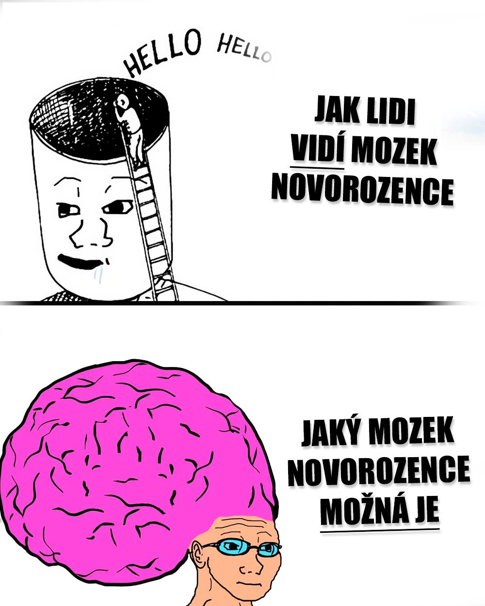 Mozek a jeho vývoj, dítě, novorozenec. Zdroj: Reddit