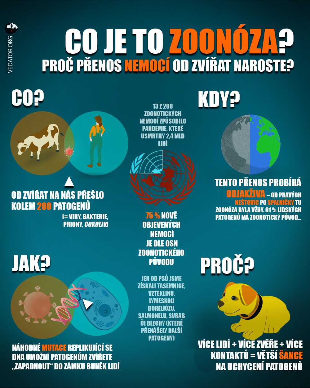 Zoonóza, zoonoza, zoonotický přenos. Zdroj: vlastní