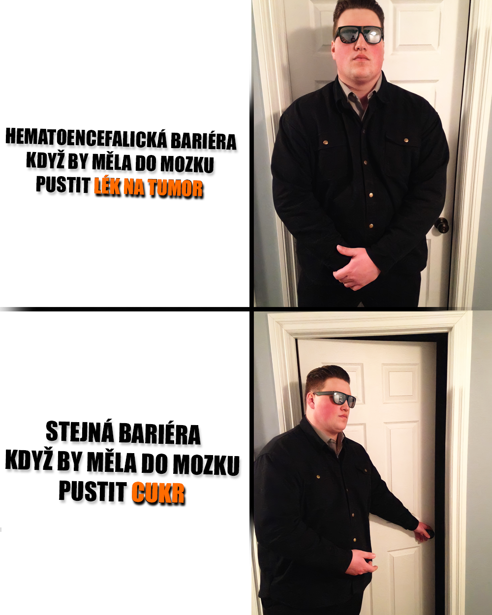 Hematoencefalická bariéra. Zdroj: Reddit, vlastní