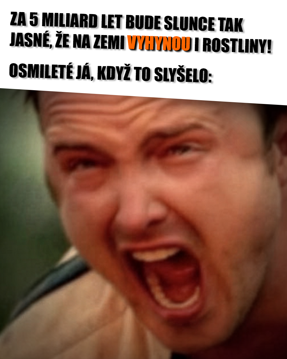 Země za 5 miliard let, 1,8 milirdy let, budoucnost, rostliny. Zdroj: AMC