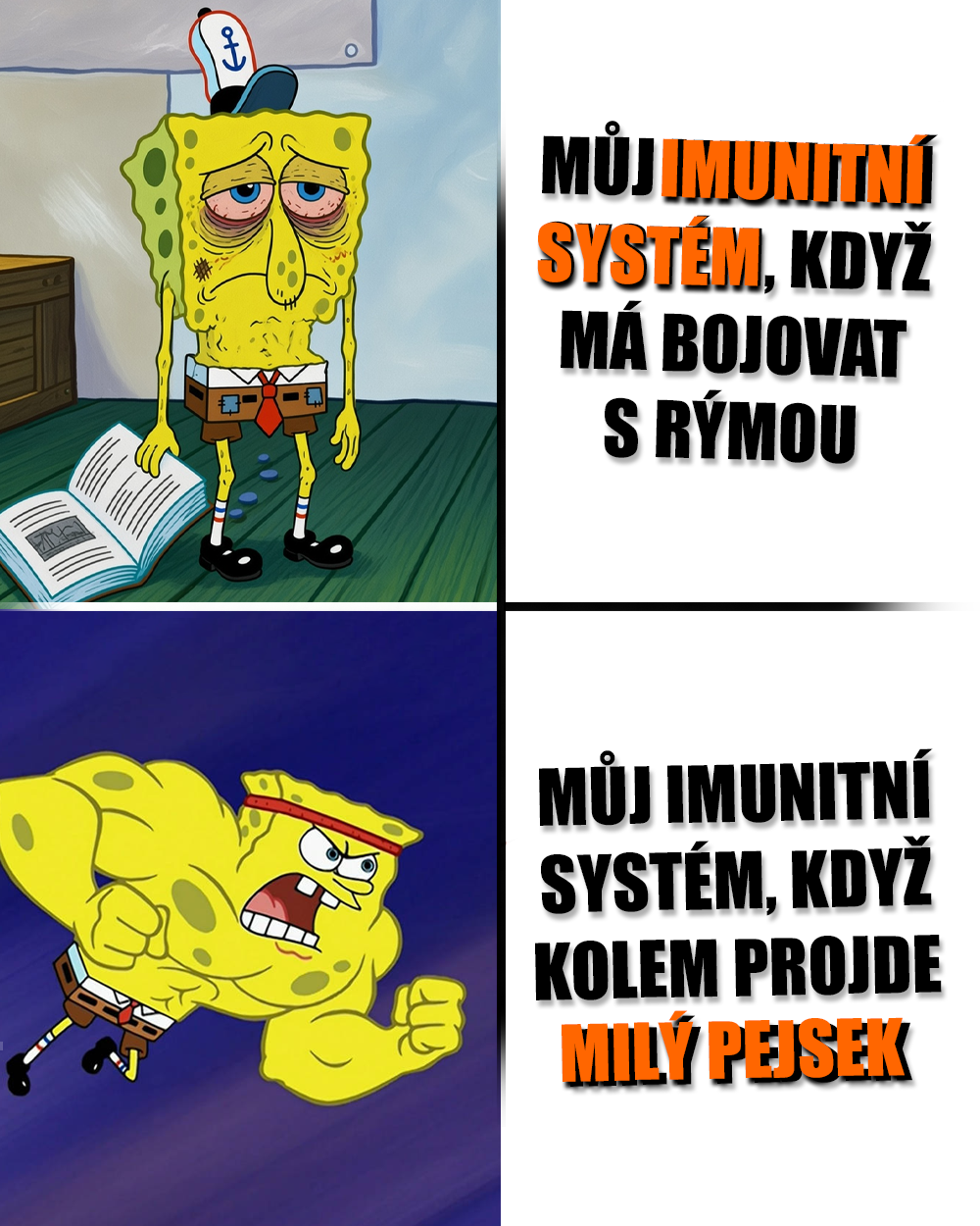 Imunita, imunitní systém, psi, pes, alergie. Zdroj: Nickelodeon