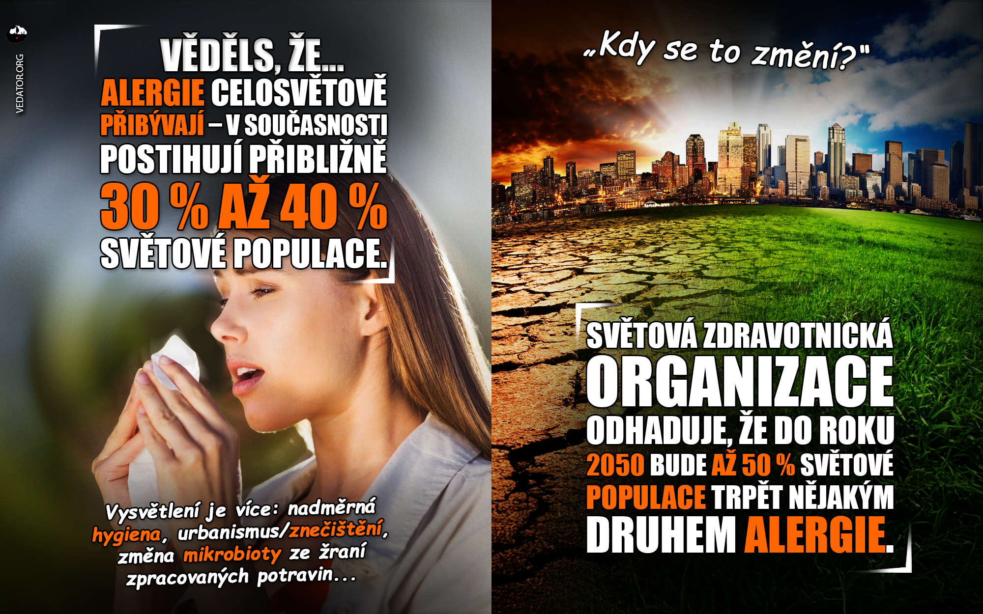 Alergie, alergy. Zdroj: Vlastní