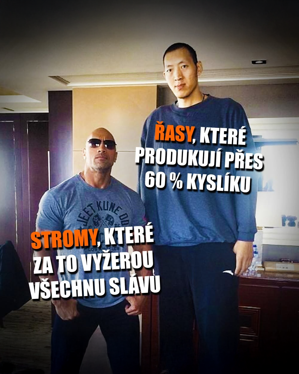 Fytoplankton, kyslík, oceány. Zdroj: Dwayne Johnson