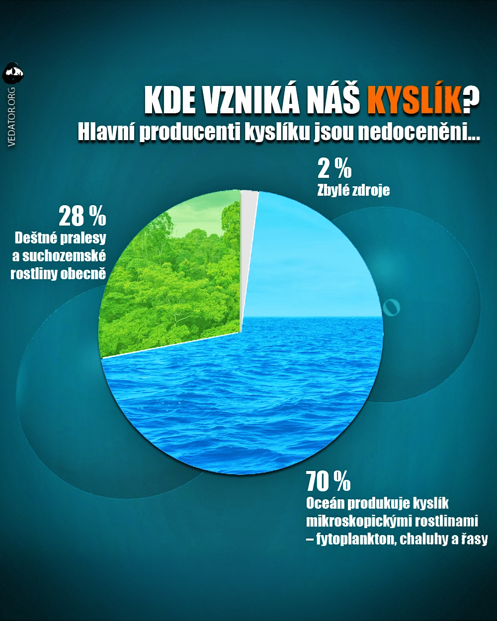 Kyslík, oceány, fytoplankton. Zdroj: Vlastní