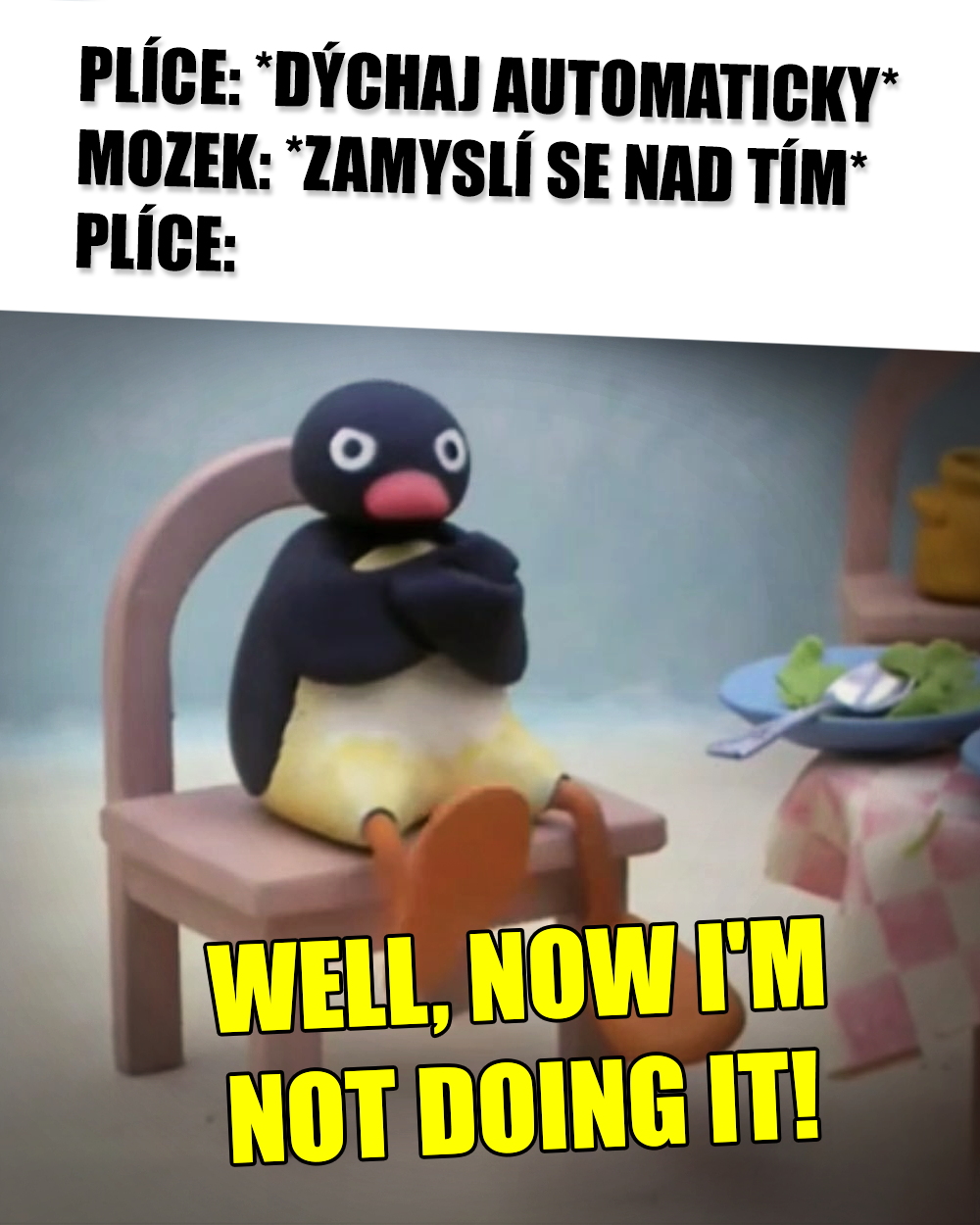 Dýchání, úzkost, Pingu. Zdroj: HIT/Mattel