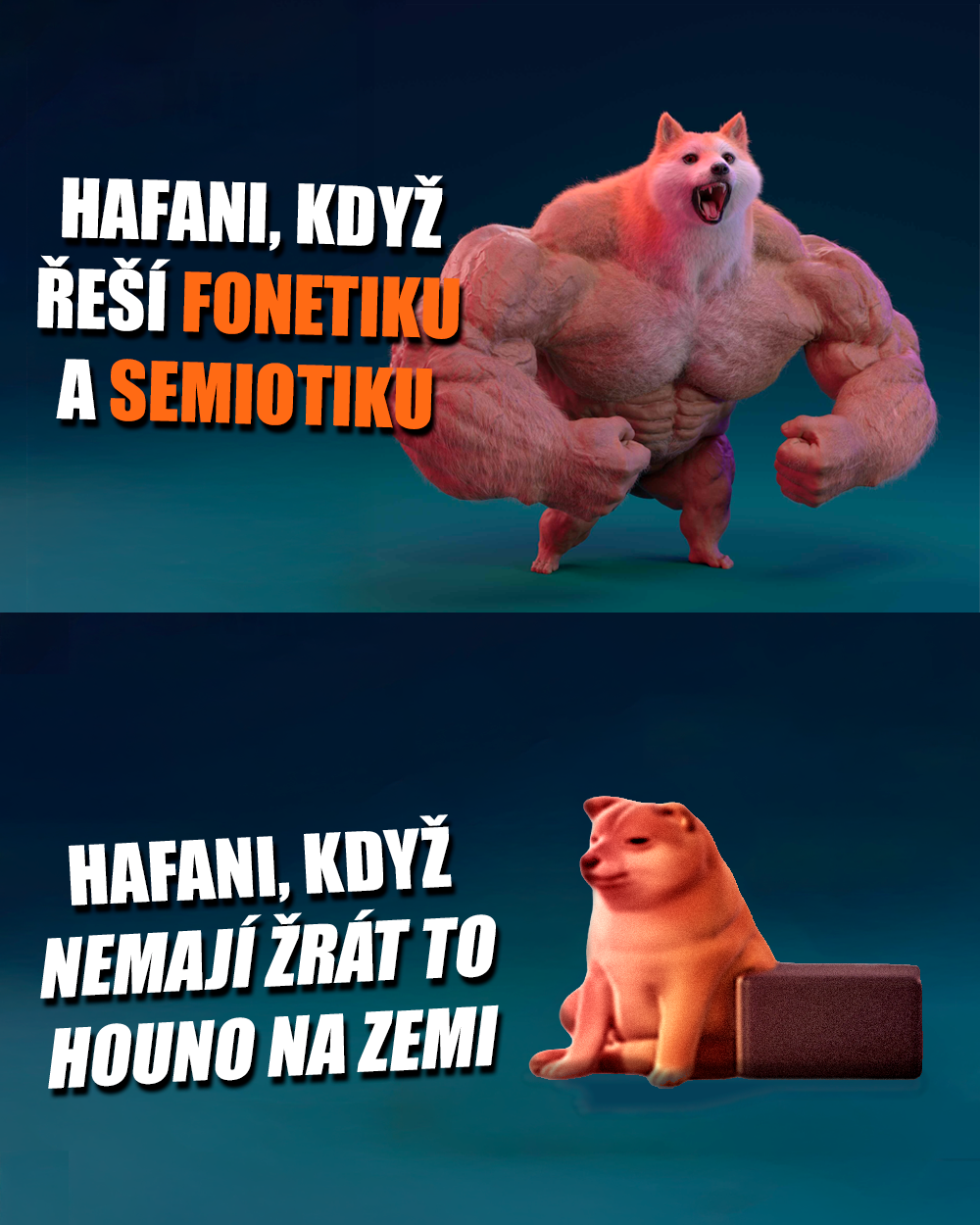 Pes, psi, Bouba, Kiki, fonetika, kognice. Zdroj: Reddit/vlastní